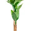 Planta Arum 100cm - Color Unico en Multicolor - Muebles para el exterior, Uruguay | Indian, vista 1 de 4
