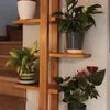 Estantería Manantiales - Bibliotecas, Uruguay | Decoquadra, vista 2 de 5