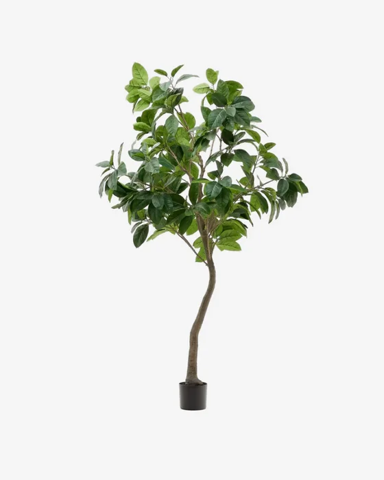 Árbol artificial Ficus con maceta negra 210 cm en Madera natural - Macetas, Uruguay | Kavehome