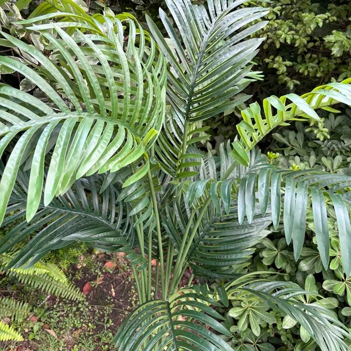 Planta Areca Artificial 160cm en Negro - Macetas, Uruguay | Alta Gracia Deco, vista 6
