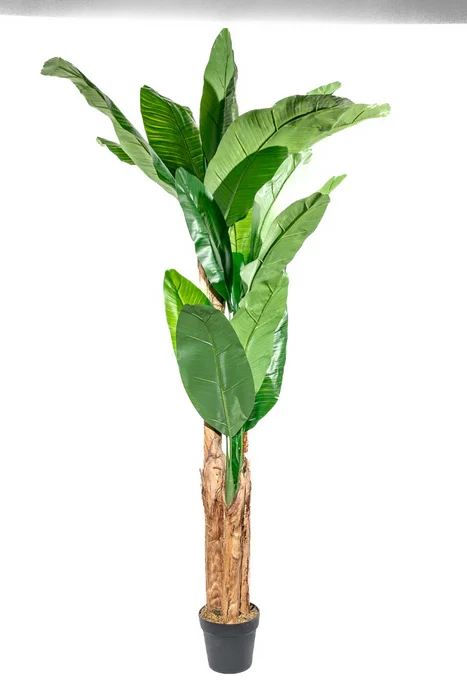 Planta Arum 100cm - Color Unico en Multicolor - Muebles para el exterior, Uruguay | Indian