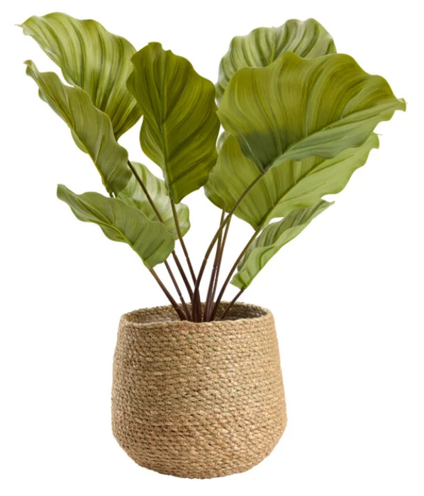 Maceta SEVERIN Ø20xH17cm natural en Madera natural - Macetas, Uruguay | JYSK, vista 3