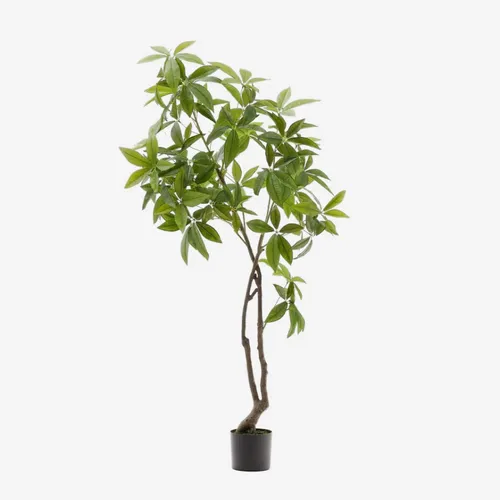 Árbol artificial Pachira con maceta negra 180 cm en Madera natural - Macetas, Uruguay | Kavehome