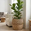 Canasto Dakar en Madera natural - Canastos, Uruguay | Indrana, vista 5 de 5