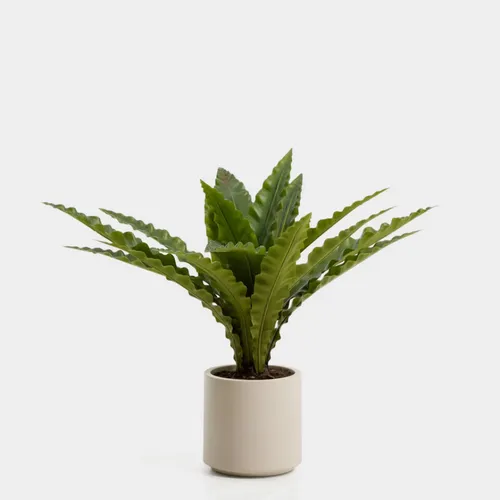 Planta artificial Neottopteris con maceta blanca 70 cm en Blanco - Macetas, Uruguay | Kavehome