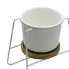 MACETA CERAMICA C/BASE D11x16CM BLANCO en Blanco - Macetas, Uruguay | Koz, vista 4 de 4