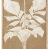 CUADRO PALMA BEIGE 1 – 80 X 60 CMS en Beige - Decoración de pared, Uruguay | La Iberica, vista 1 de 3