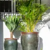 Ernest Moss Green - Macetas, Uruguay | Balcony, vista 6 de 6