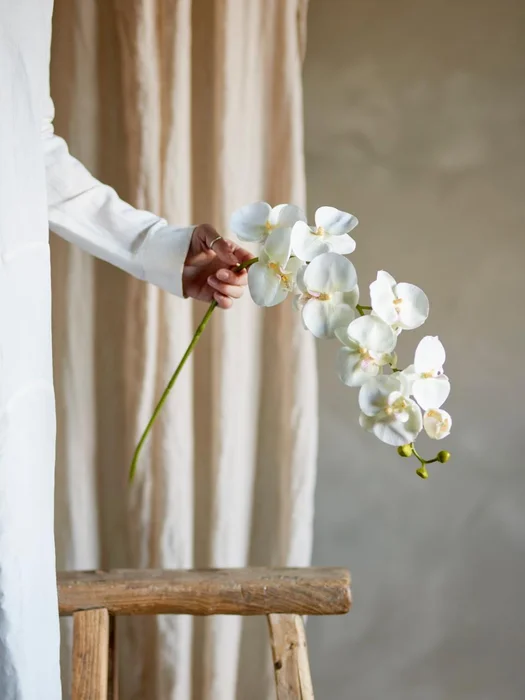 Tallo Orquídea blanco en Blanco - Decoración, Uruguay | Martinika Deco