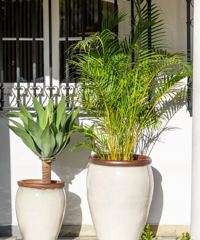 Ernest Creamy White - Macetas, Uruguay | Balcony