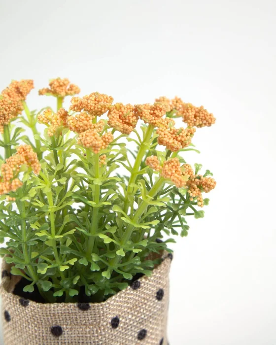 Planta artificial Leonitis leonurus con maceta de rafia 13 cm en Amarillo, Verde - Macetas, Uruguay | Kavehome, vista 2