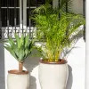 Ernest Creamy White - Macetas, Uruguay | Balcony, vista 2 de 7
