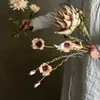 Tallo Protea natural - Decoración, Uruguay | Martinika Deco, vista 5 de 10