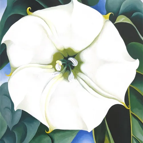 White Flower en Blanco - Láminas, Uruguay | Mara Estudio