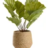 Maceta SEVERIN Ø20xH17cm natural en Madera natural - Macetas, Uruguay | JYSK, vista 3 de 3