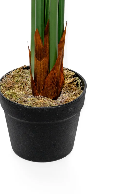 Planta Monstera 85cm - Color Unico en Multicolor - Muebles para el exterior, Uruguay | Indian, vista 3