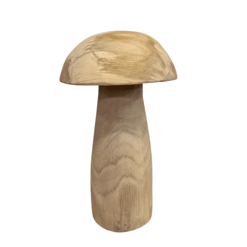 Hongo Madera en Marrón - Decoración, Uruguay | Camino a Casa
