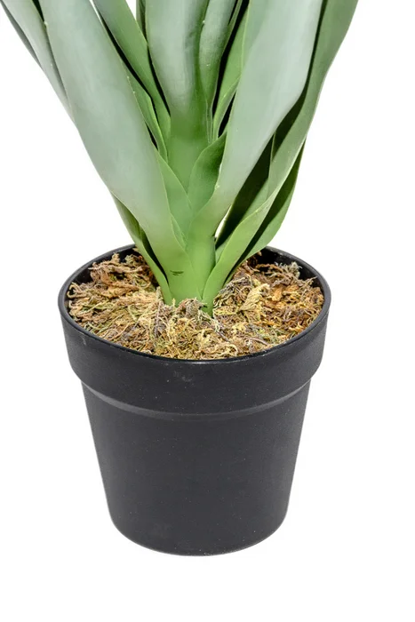 Planta Mandioca 55cm - Color Unico en Multicolor - Muebles para el exterior, Uruguay | Indian, vista 2
