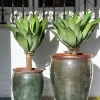 Ernest Moss Green - Macetas, Uruguay | Balcony, vista 2 de 6