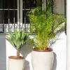 Ernest Creamy White - Macetas, Uruguay | Balcony, vista 3 de 7