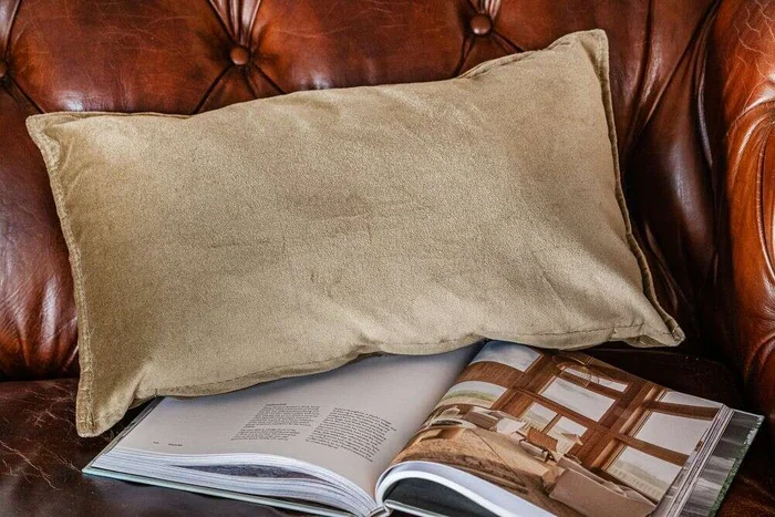 ALMOHADON TERCIOPELO OLIVA - 50 X 30 CMS en Verde oliva - Textiles, Uruguay | La Iberica