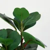 Planta Ficus 40cm - Color Unico en Multicolor - Muebles para el exterior, Uruguay | Indian, vista 2 de 4