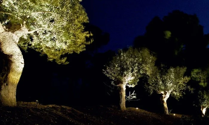 Jena en Negro - Lámparas de pie, Uruguay | Darko Lighting, vista 2