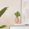 Planta artificial Bailey con maceta de cerámica rosa 21,6 cm en Rosa - Macetas, Uruguay | Kavehome, vista 2 de 7