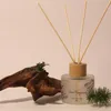 DIFUSOR AROMA GARDEN - Velas y Portavelas, Uruguay | Champagne Home, vista 2 de 3