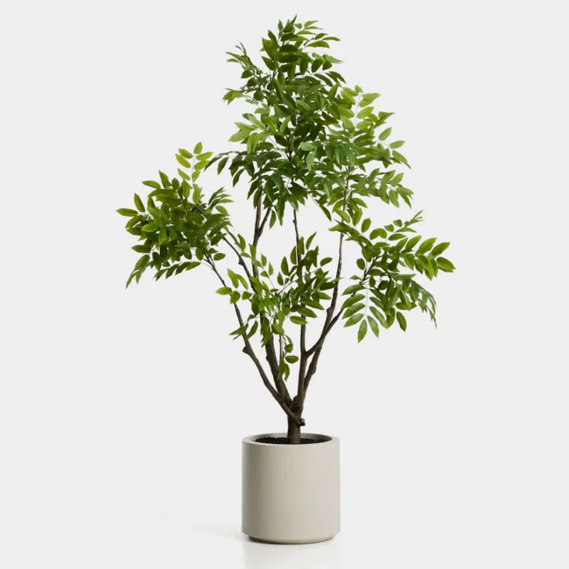 Árbol artificial Rhus con maceta blanca 185 cm en Blanco - Macetas, Uruguay | Kavehome