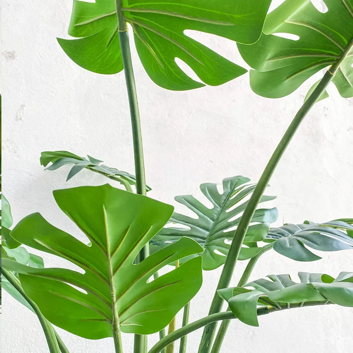 Planta Monstera (Esqueleto de Caballo) Artificial - Macetas, Uruguay | Alta Gracia Deco, vista 2