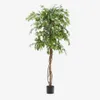 Árbol artificial Ficus con maceta negra 180 cm en Madera natural - Macetas, Uruguay | Kavehome, vista 1 de 5