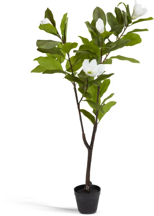 Planta artificial SPINDEL A120cm magnolia en Verde - Muebles para el exterior, Uruguay | JYSK