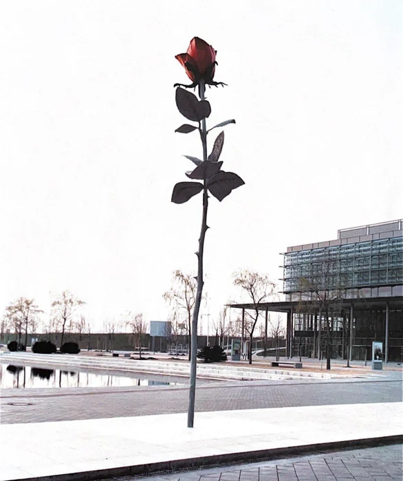 Urban Rose - Láminas, Uruguay | Mara Estudio