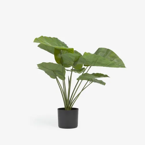 Planta artificial Alocasia Odora con maceta negro 57 cm en Negro, Uruguay | Kavehome