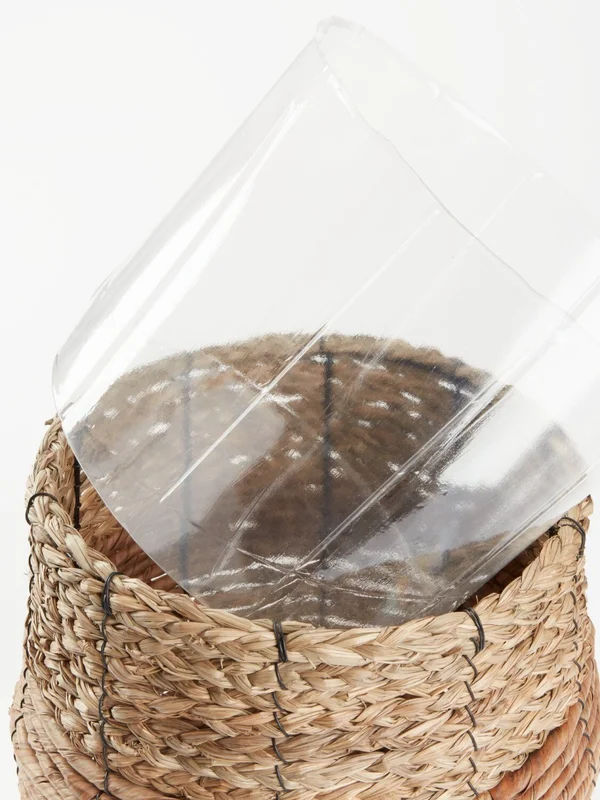 Maceta TERJE Ø25xA23cm natural en Madera natural - Macetas, Uruguay | JYSK, vista 3