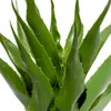 Planta Aloe 60cm - Color Unico en Multicolor - Muebles para el exterior, Uruguay | Indian, vista 3 de 4