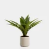 Planta artificial Neottopteris con maceta blanca 70 cm en Blanco - Macetas, Uruguay | Kavehome, vista 1 de 5