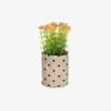 Planta artificial Leonitis leonurus con maceta de rafia 13 cm en Amarillo, Verde - Macetas, Uruguay | Kavehome, vista 1 de 3