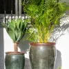 Ernest Moss Green - Macetas, Uruguay | Balcony, vista 5 de 6