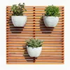 MACETA PARA PARED 21X17CM SISAL BLANCA en Blanco - Macetas, Uruguay | Decohogar, vista 3 de 4