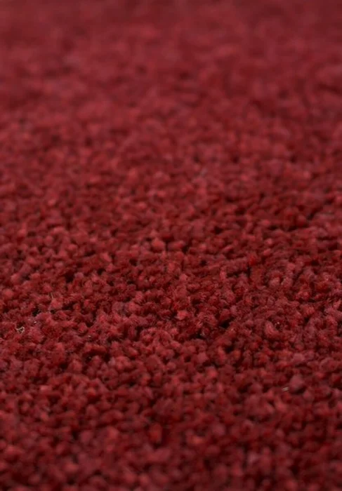 ALFOMBRAS SUPER SOFTNESS SSF/2144/F670/ 200X290 CLARET en Rojo - Alfombras, Uruguay | Vinibel, vista 3
