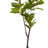 Planta artificial SPINDEL A120cm magnolia en Verde - Muebles para el exterior, Uruguay | JYSK, vista 1 de 4