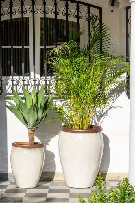 Ernest Creamy White - Macetas, Uruguay | Balcony