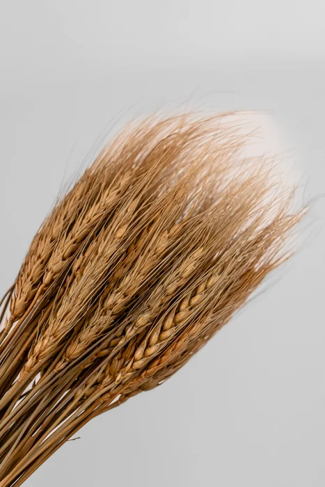 Deco Floral Ramo Wheat Grass Natural - Color Unico en Multicolor - Decoración, Uruguay | Indian, vista 2