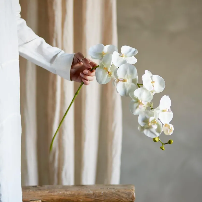 Tallo Orquídea blanco en Blanco - Decoración, Uruguay | Martinika Deco