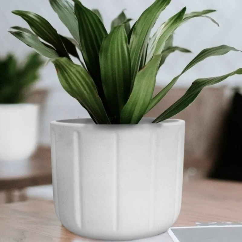 MACETA SPELLO PILASTRI BLANCA 15X15CM en Blanco - Macetas, Uruguay | Decohogar, vista 3