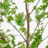 Árbol artificial Enkianthus con maceta negro 214 cm en Madera natural - Muebles para el exterior, Uruguay | Kavehome, vista 3 de 5