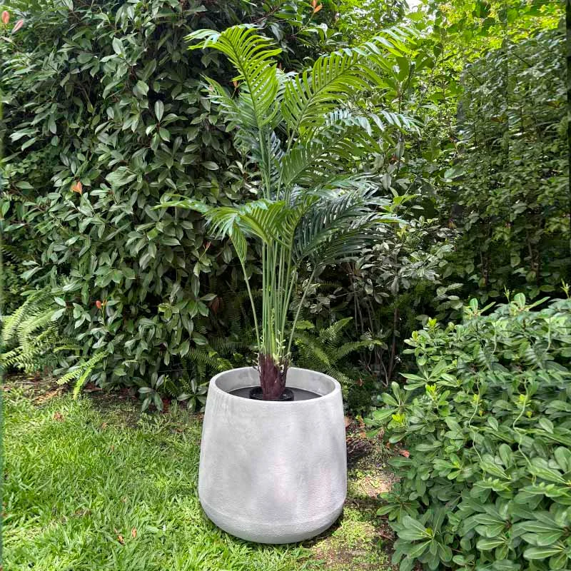 Planta Areca Artificial 160cm en Verde - Macetas, Uruguay | Alta Gracia Deco, vista 3