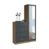 Comoda 4 Cajones 1 Puerta Con Espejo Cajonera Dormitorio Grafito - Cómodas, Uruguay | Muebles Express, vista 1 de 3